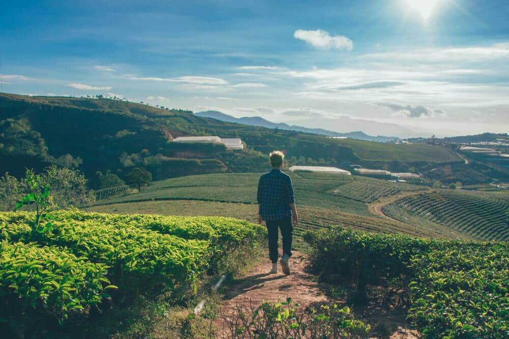 Agriculteur qui traverse ses champs, tourné vers le soleil